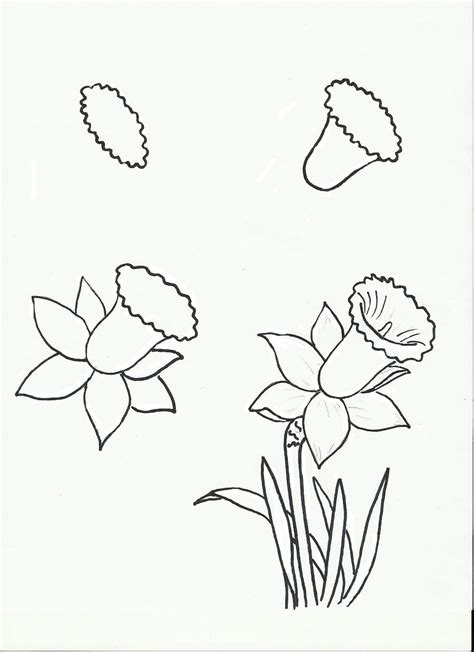Image result for Spring Flowers Drawing