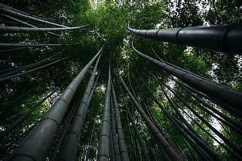 Image result for Example of Interview Coding Sheet