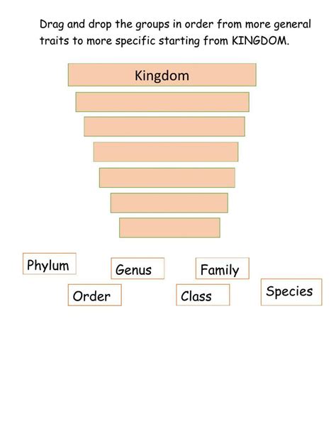 Image result for Classification Living Things Worksheet
