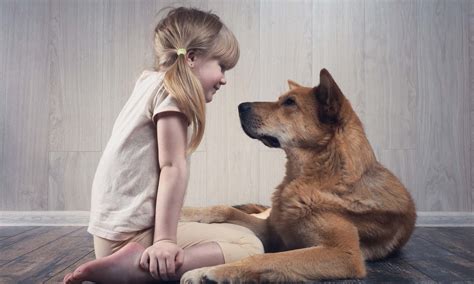 Why Cant Dogs Speak English