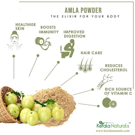 Eating Dried Amla Benefits at Jackie Proctor blog