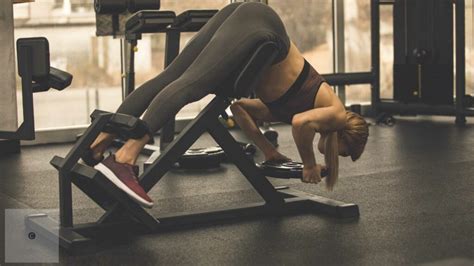 Image result for Lower Back Exercise Machine