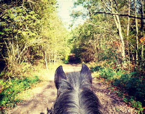 Scavenger Hunt on Yard & Arena Ride, Vicarage Road, DA5 2AW Bexley ...