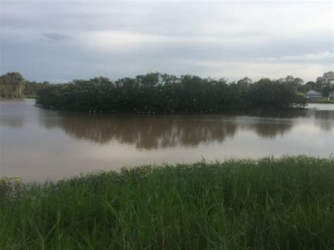 Well worth a visit - Reviews, Photos - Lake Apex Visitor Information ...