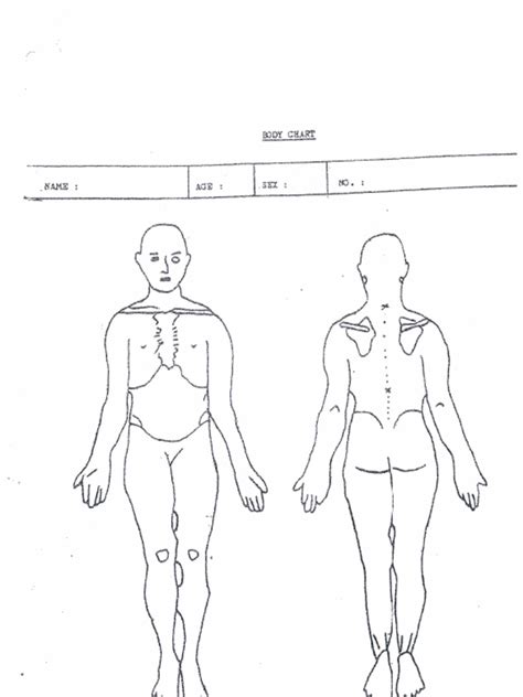 Image result for Short Stack Body Chart