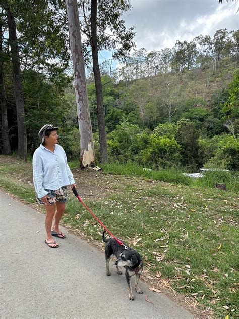 BORUMBA DEER PARK (Imbil) - Campground Reviews & Photos - Tripadvisor