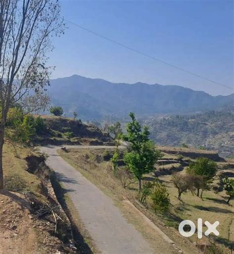full Himalayas and valley view NEAR SHIV Temple. Single owner - Lands ...