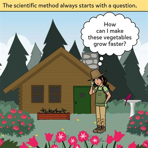 Scientific Process 的图像结果