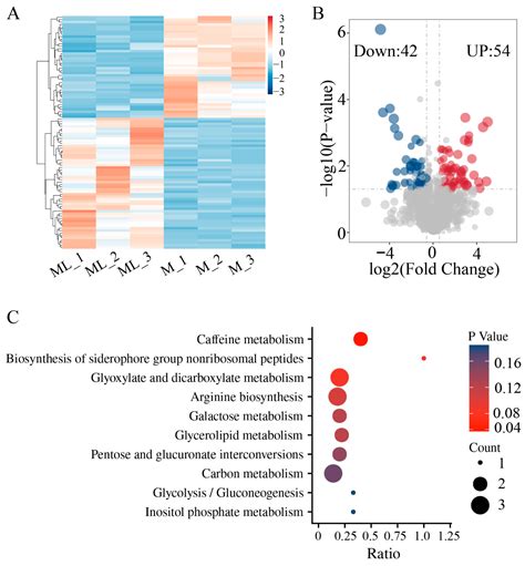 Whole-Genome Sequencing of Flammulina filiformis and Multi-Omics ...