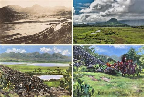 The History of Kawainui Marsh: Ancient Caldera to Ramsar Wetland ...