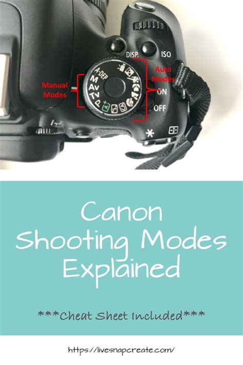 Canon Camera Tutorial 的图像结果