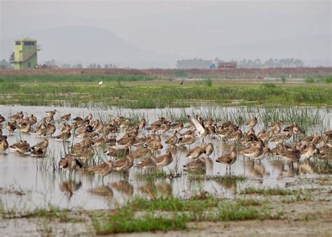 Khurda Tourism (2023): Best of Khurda, India - Tripadvisor