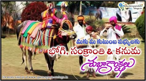 Sankranti Gangiredu images with happy pongal wishes - Pongal Sankranti ...