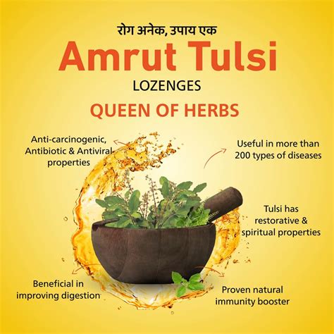 Buy AMRUT TULSI LOZENGES (HONEY LEMON FLAVOUR) 6 TAB | COUGH & SORE ...