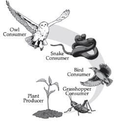 Class 10 Science: CBSE Sample Question Paper- Term II (2021-22) - 3 ...