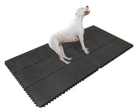 DOG FLOOR MATS Manufacturer - Dog Anti Skid Mat Trader - Retailer from ...