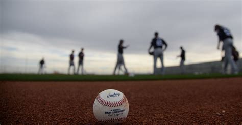 A look at the 2018 NC State Baseball Roster | Backing The Pack