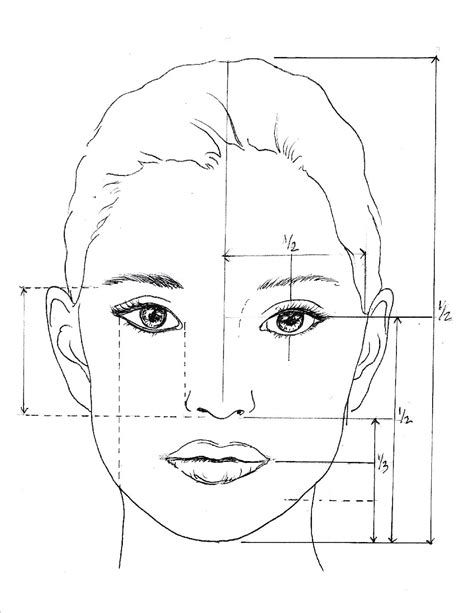 Image result for Face Proportion Drawing Lesson