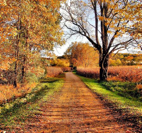 Fall in the Country 的图像结果