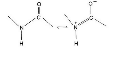 Polypeptide – Laboratoryinfo.com