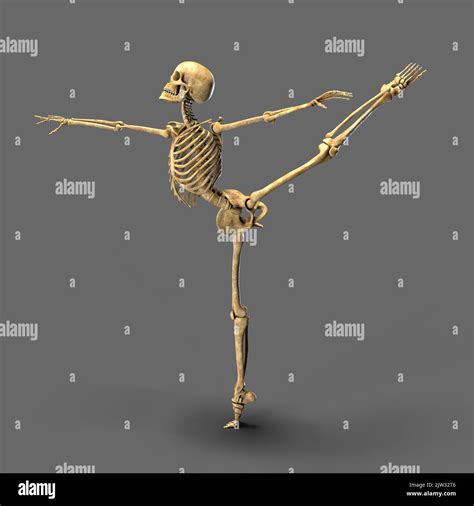 Image result for Skeleton Ballet