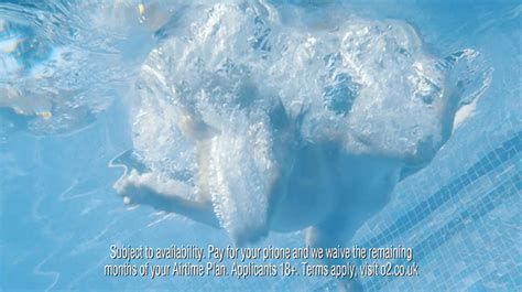 Image result for O2 Advert Dog