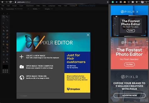 Image result for Pixlr Editor Basic