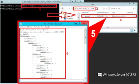 Image result for Cmd Tree Code