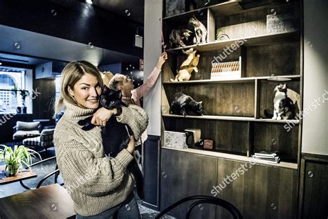 Java Whiskers Logo 的图像结果