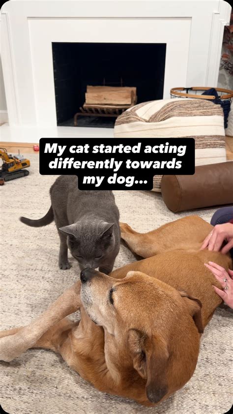 Those Across The River