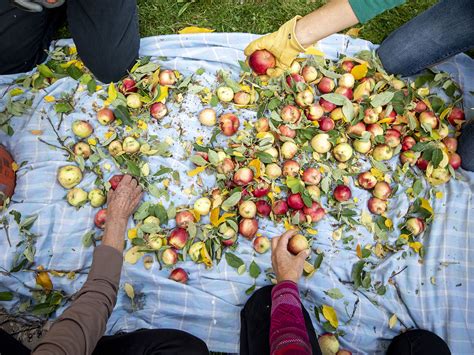 What Are the Best Fall Activities to Enjoy in Colorado This October ...