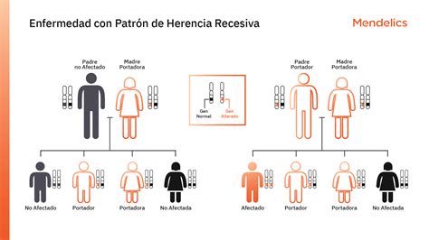 Deficiencia de descarboxilasa de L-aminoácidos aromáticos (AADC) - Blog ...