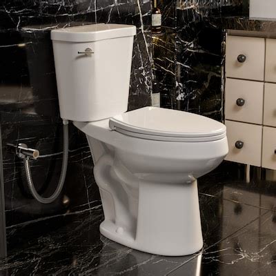 Los Flexi High Efficiency ADA Compliant Toilets at Lowes.com