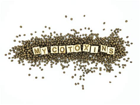 Mycotoxin Testing - Prism Triangle LLC