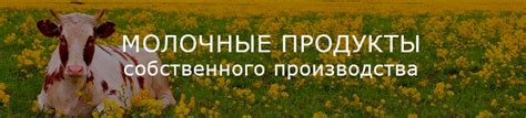 Фермерский магазин с доставкой натуральных продуктов по СПб и Гатчине