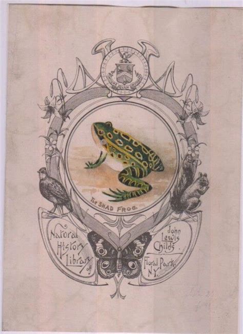 Image result for Ex Libris Drawing