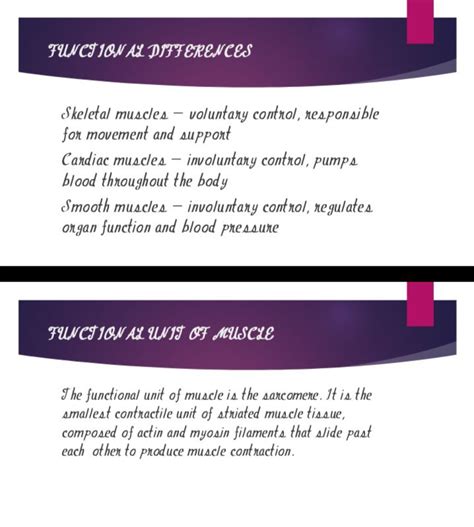 Image result for Skeletal Muscle Functional Unit