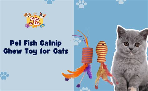 Buy PETZ R US Pet Fish Catnip Chew Toy for Cats – Fun, Interactive, Non ...