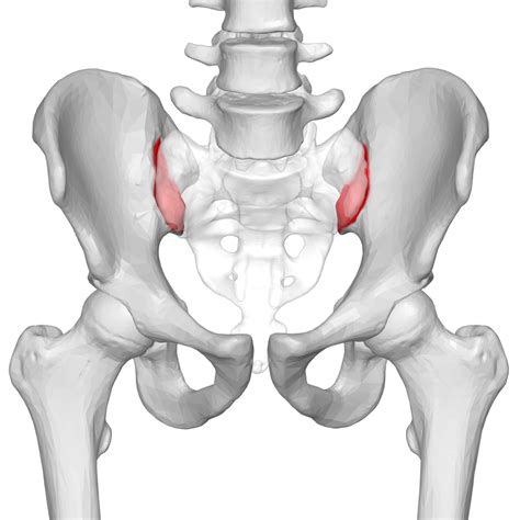 Labral tears – My Sacroiliac Joint Saga