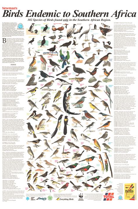 Birds Endemic to Southern Africa: Classic Edition | Korck Posters