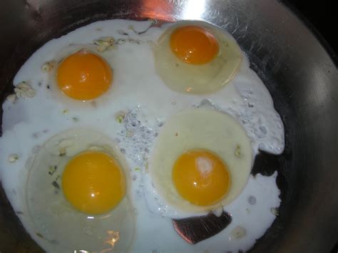 Putting my best foot forward: Pastured vs organic 'cage free' eggs