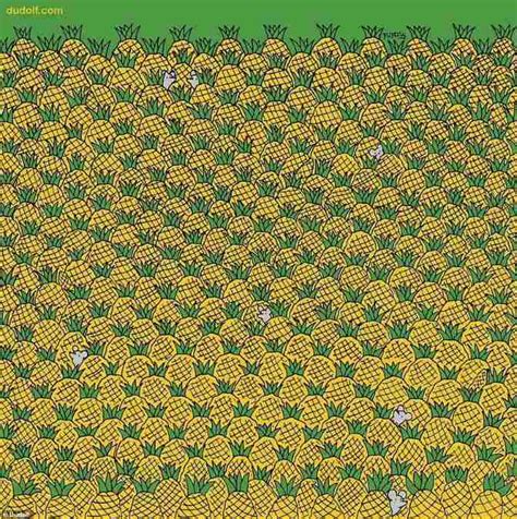 Picture Puzzle IQ Test: Prove Your Genius! Can You Spot Four Corns ...