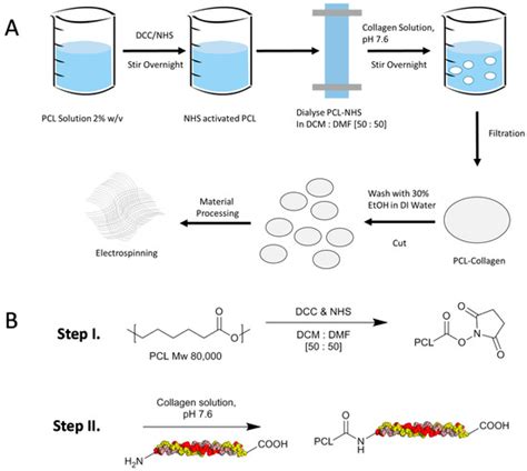 Biosynthetic PCL-graft-Collagen Bulk Material for Tissue Engineering ...