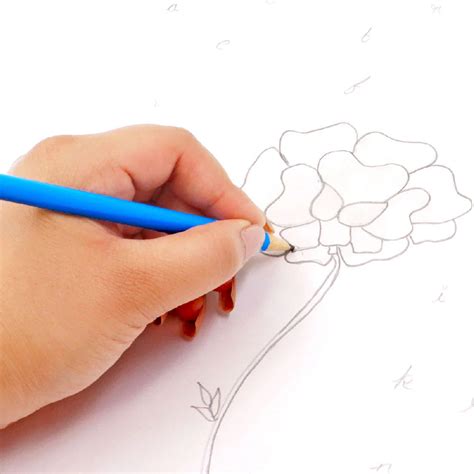 Unicorn Pencils - Writing Fairies – Scoobies