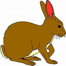 Rabbit Clipart by All Cliparts Rabbits Clipart Gallery1 Rabbit Clipart