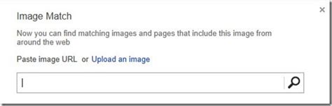 Bing Image Match Search 的图像结果