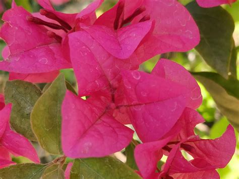 Oppo F29 Pro review: A tough and reliable phone - India Today