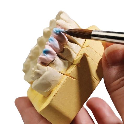 Dentsply ceramco 3 Powder opaque / Dental Lab Material – Dental Prod