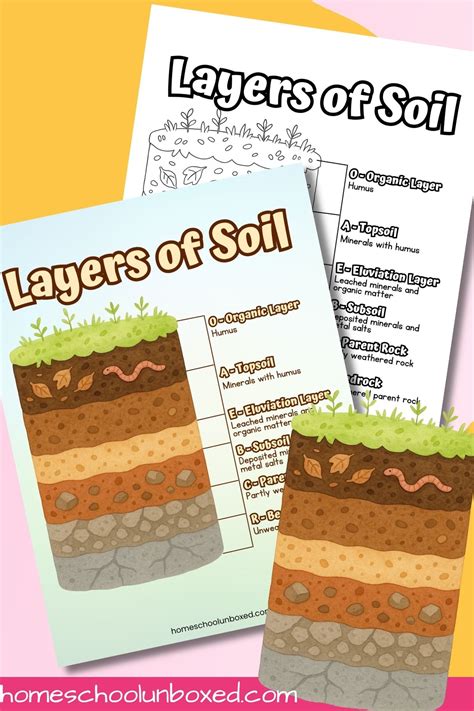 Layers of Soil Diagram (Free Printable)