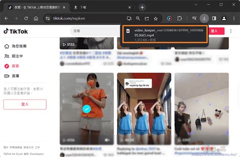 TikTok Video Keeper 一鍵儲存 TikTok 影片支援批量下載(擴充功能)